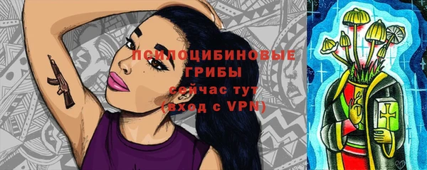 метадон Армянск