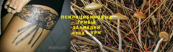 дмт Гусев