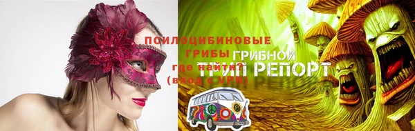 бошки Арсеньев